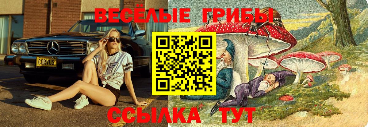 Гуково  Псилоцибиновые грибы Psilocybe  Галлюциногенные грибы мицелий  Вход с VPN 
